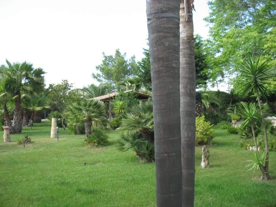 Villa Cecilia Matino Εξωτερικό φωτογραφία